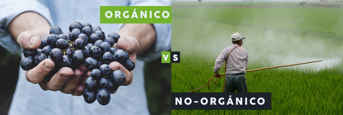 alimentos organicos vs no organicos