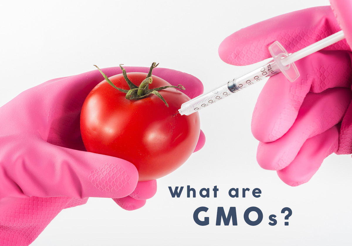 what are GMO for our health